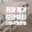 보라뷰티용인 | 보라뷰티 쥐젖 사마귀 혈관종 제거 후기 정찰제 가격 용인 기흥구