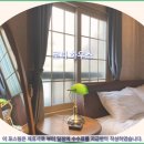 로피하우스 | 제주 로피하우스 후기 제주여행 호텔추천 이유