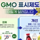 P-6935 정책브리핑