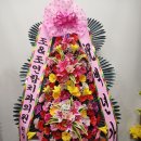 조치과의원 이미지