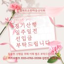 제448차 2025년 4월 12일 ( 둘째토) 보성 제암산.일림산 철쭉산행 이미지