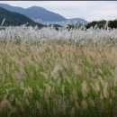 낙동강하천공원주차장 이미지