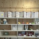 베리독하우스 애견유치원 & 애견호텔 부천점 이미지