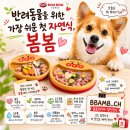 코리아열처리 - 의왕시 | 강아지 생식 추천 무가공 자연식단 봄봄코리아 할인코드 BBAMB_CH