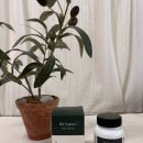 리즈약국 | 리즈네이처 먹는 PDRN 캔디 피부 관리 츄어블 레몬베이스