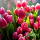 (주)이천써비스 이미지