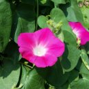 인선농장 이미지