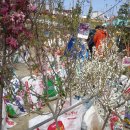 갯골샘터 이미지