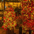 서울호텔 이미지