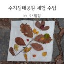 우듬지유치원 | 수지생태공원 생태체험 후기: 무료이면서 체험 구성이 알차고 흥미로워서 재방문 할 듯