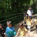 내원정사 옆 이미지