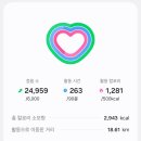 [나고야 여행 첫날] 야바톤 메이테츠점 / 오스상점가 / 아쓰타신궁 /아쓰타 호라이켄 /세카이노 야마짱...