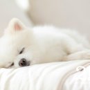 청담유치원 이미지