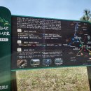 태화농장 2 이미지