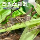 영등포 타임스퀘어 팝업스토어 서울 아이랑 가볼 만한 곳 실내전시