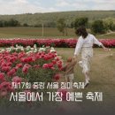 중랑 서울장미축제 기본정보 공연라인업 서울 5월 축제 가볼만한곳