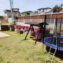 멍라밸 | 대부도 가족여행 후, 강아지와 함께 머무르기 딱 좋은 독채 애견펜션 '멍라밸' 여기 어때?