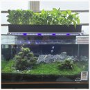 비케이팜 이미지