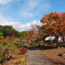 여미지식물원 이미지