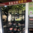 용연매점자판기 | 청송 주왕산 국립공원 장군봉 코스 8월 여름 등산 초보의 대환장 고생 후기