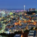 새성남공인중개사사무소 이미지