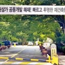 신반포상가 이미지