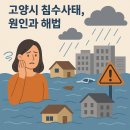 정보화지하차도배수펌프장 | 고양시 침수사태, 원인과 해법