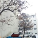 반포서울부동산공인중개사사무소 이미지