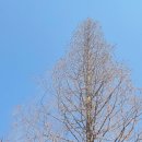 박물관역(2번출구 옆) 이미지