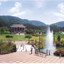 금강자연휴양림 이미지