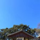 유산곡 | [스탬프 투어] 1649. 나만의 국가유산 해설사 : 영주 소수서원 문성공묘