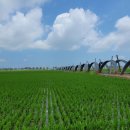 김영식농장 이미지