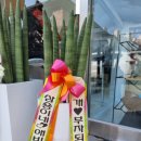 펫, 마리앙뚜 이미지