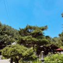 구산-007 이미지