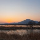 코스모스길 이미지