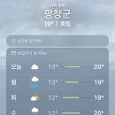 휘게짐 | 평창 휘게포레스트 B7 사이트 후기 | 가장 안쪽 숲속 데크에서 보낸 2박 3일