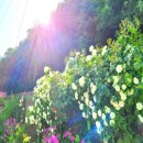 문경펜션 이미지