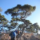 ★ 충북 괴산군 성불산(成佛山:520m) ★ 이미지