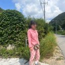 에이스 펜션 이미지