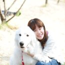 수요기획 이미지