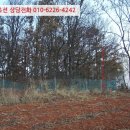 불은면-1 이미지