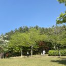 봉황대공원(주차장입구) 이미지