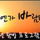 써니여행사