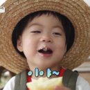 하멜샌드