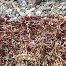 부동산 재테크로 부자되기 이미지