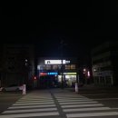 부산 고양이호텔 추천 고양이는외계인 호텔링후기! 추천추천추추추추천