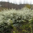 고래등공인중개사사무소 이미지