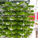 방대농장 이미지