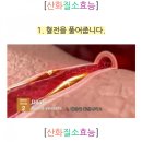 오엔오 네이버블로그