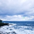 해녀식당 | 제주 용두암 해녀촌 식당 후기｜제주공항 근처 해녀밥상 맛집